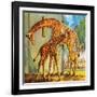 Virginia the Giraffe-McConnell-Framed Giclee Print