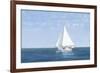 Virginia W-David Knowlton-Framed Giclee Print