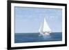 Virginia W-David Knowlton-Framed Giclee Print