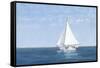 Virginia W-David Knowlton-Framed Stretched Canvas