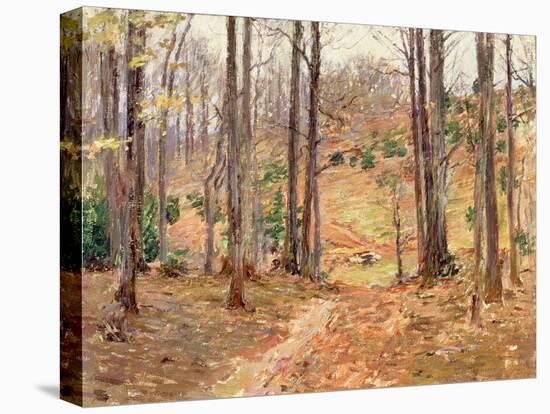 Virginia Woods, 1893-Theodore Robinson-Stretched Canvas