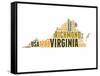 Virginia Word Cloud Map-NaxArt-Framed Stretched Canvas