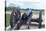 Virginia, Yorktown, Cannon on Battlefield-Jim Engelbrecht-Stretched Canvas