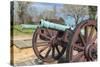 Virginia, Yorktown, Cannon on Battlefield-Jim Engelbrecht-Stretched Canvas