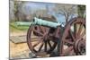 Virginia, Yorktown, Cannon on Battlefield-Jim Engelbrecht-Mounted Photographic Print