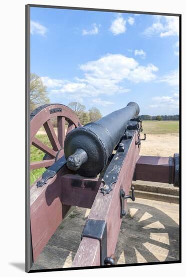 Virginia, Yorktown, Cannon on Battlefield-Lisa S. Engelbrecht-Mounted Photographic Print