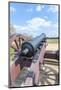 Virginia, Yorktown, Cannon on Battlefield-Lisa S. Engelbrecht-Mounted Photographic Print