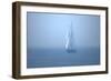 Virginia-Alan Hausenflock-Framed Photographic Print