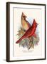 Virginian Cardinal-F.w. Frohawk-Framed Art Print