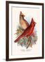 Virginian Cardinal-F.w. Frohawk-Framed Art Print