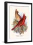 Virginian Cardinal-F.w. Frohawk-Framed Art Print