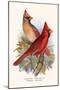 Virginian Cardinal-F.w. Frohawk-Mounted Art Print