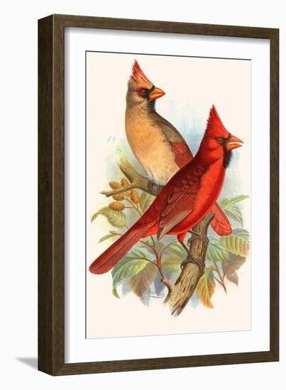 Virginian Cardinal-F.w. Frohawk-Framed Art Print