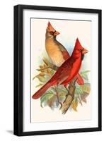 Virginian Cardinal-F.w. Frohawk-Framed Art Print