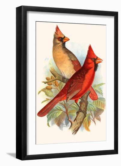 Virginian Cardinal-F.w. Frohawk-Framed Art Print