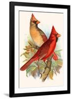 Virginian Cardinal-F.w. Frohawk-Framed Art Print