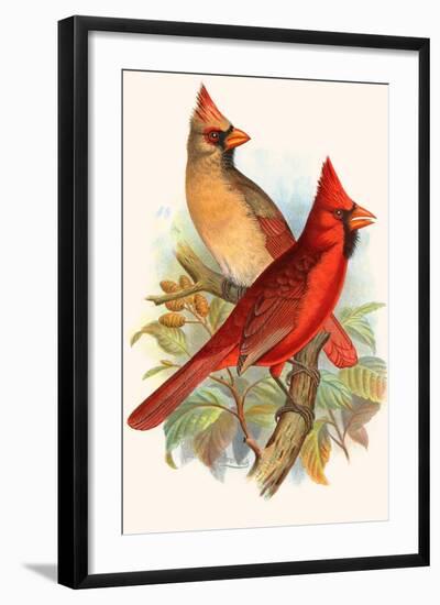 Virginian Cardinal-F.w. Frohawk-Framed Art Print