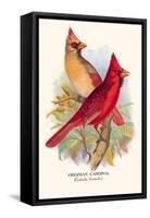 Virginian Cardinal-Arthur G. Butler-Framed Stretched Canvas