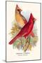 Virginian Cardinal-Arthur G. Butler-Mounted Art Print