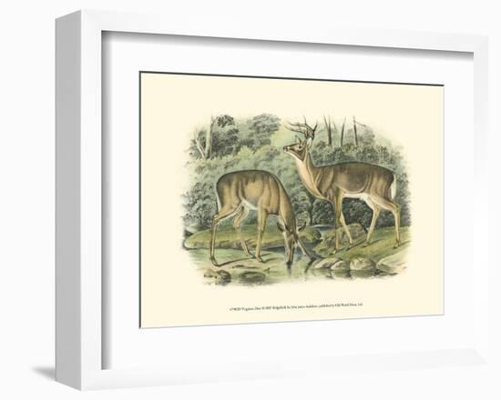 Virginian Deer-John James Audubon-Framed Art Print