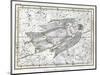 Virgo Constellation, Zodiac, 1822-Science Source-Mounted Giclee Print