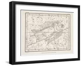 Virgo-null-Framed Art Print