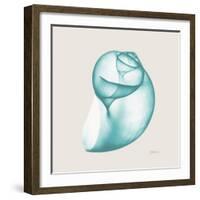 Viridian Water Snail-Albert Koetsier-Framed Photographic Print