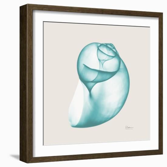 Viridian Water Snail-Albert Koetsier-Framed Photographic Print