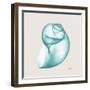 Viridian Water Snail-Albert Koetsier-Framed Photographic Print