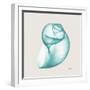 Viridian Water Snail-Albert Koetsier-Framed Photographic Print