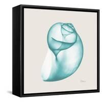 Viridian Water Snail-Albert Koetsier-Framed Stretched Canvas