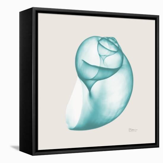 Viridian Water Snail-Albert Koetsier-Framed Stretched Canvas