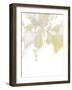 Viridis III-June Erica Vess-Framed Art Print