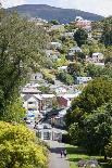 Dunedin Residential Hills-virsuziglis-Framed Stretched Canvas