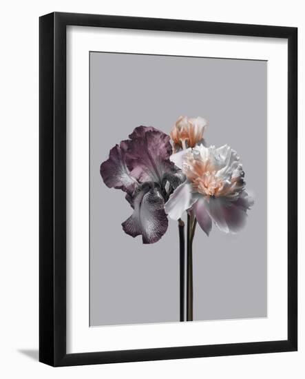 Virtue 1-Design Fabrikken-Framed Photographic Print