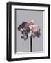 Virtue 1-Design Fabrikken-Framed Photographic Print