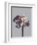 Virtue 1-Design Fabrikken-Framed Photographic Print