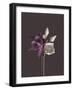 Virtue 2-Design Fabrikken-Framed Photographic Print