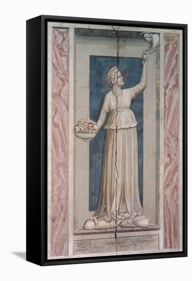 Virtues and Vices, Charity-Giotto di Bondone-Framed Stretched Canvas