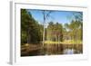 Viru Bog (Viru Raba) Peat Swamp, Lahemaa National Park, Harjumaa-Nico Tondini-Framed Photographic Print