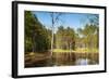 Viru Bog (Viru Raba) Peat Swamp, Lahemaa National Park, Harjumaa-Nico Tondini-Framed Photographic Print