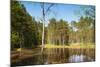 Viru Bog (Viru Raba) Peat Swamp, Lahemaa National Park, Harjumaa-Nico Tondini-Mounted Photographic Print