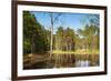 Viru Bog (Viru Raba) Peat Swamp, Lahemaa National Park, Harjumaa-Nico Tondini-Framed Photographic Print