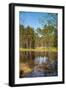 Viru Bog (Viru Raba) Peat Swamp, Lahemaa National Park, Harjumaa-Nico Tondini-Framed Photographic Print