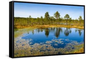 Viru Bog (Viru Raba) Peat Swamp, Lahemaa National Park, Harjumaa-Nico Tondini-Framed Stretched Canvas