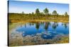 Viru Bog (Viru Raba) Peat Swamp, Lahemaa National Park, Harjumaa-Nico Tondini-Stretched Canvas