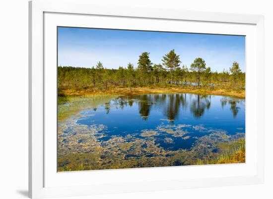 Viru Bog (Viru Raba) Peat Swamp, Lahemaa National Park, Harjumaa-Nico Tondini-Framed Photographic Print