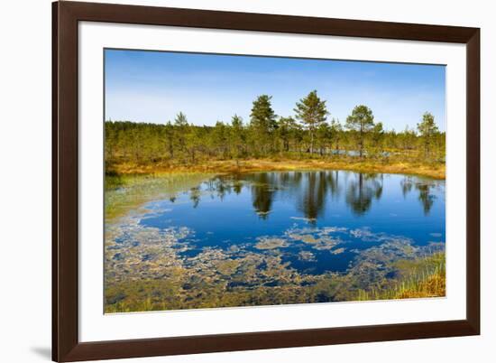 Viru Bog (Viru Raba) Peat Swamp, Lahemaa National Park, Harjumaa-Nico Tondini-Framed Photographic Print