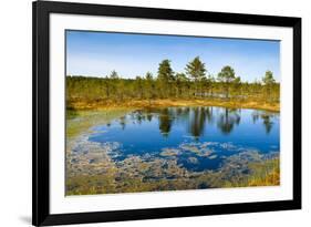 Viru Bog (Viru Raba) Peat Swamp, Lahemaa National Park, Harjumaa-Nico Tondini-Framed Photographic Print