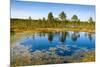 Viru Bog (Viru Raba) Peat Swamp, Lahemaa National Park, Harjumaa-Nico Tondini-Mounted Photographic Print